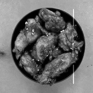 Chilly Chicken [Medium]