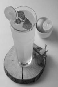 Pristine Mojito