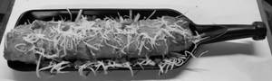 Paneer Cheese Roll