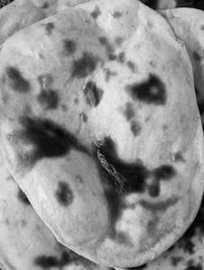 Tandoori Roti Sada
