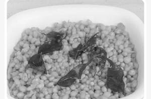 Kaara Boondi (250 gram)