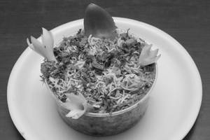 Veg Biryani