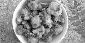 Gobi 65