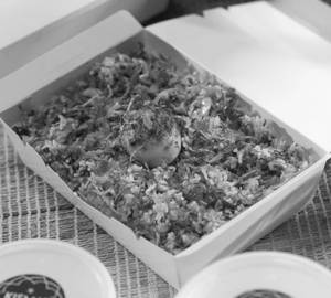 Chicken Biriyani Box (serves 1)