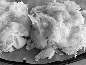 Bun Parotta