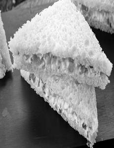 Fresh Sandwich
