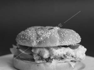 Paneer Double Cheese Burger