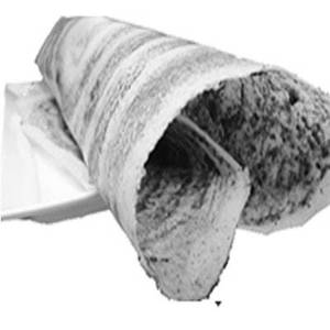 Pudina Sada Dosa