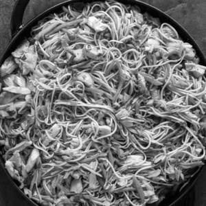 Mixed Chowmein Noodles