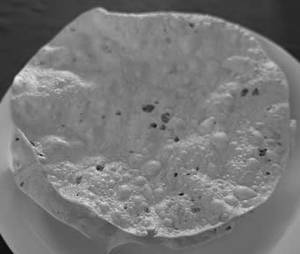 Fried Papad