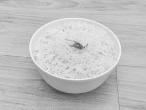 Steamed Rice