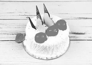 Vanilla Cake