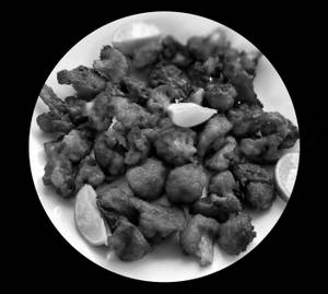 Gobi 65        