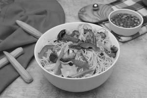 Veg Classic Hakka Noodles