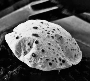 Tawa Roti Plain 