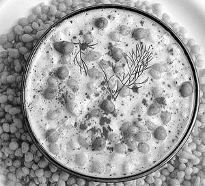 Boondi Raita
