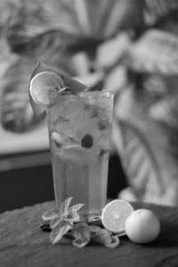 Watermelon Mojito