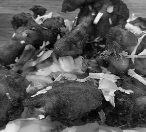 Garlic tandoori chicken