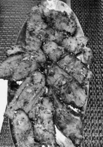 Tandoori chaap tikka