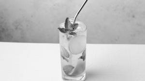 Lime Mint Mojito