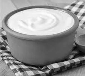 Plain Dahi