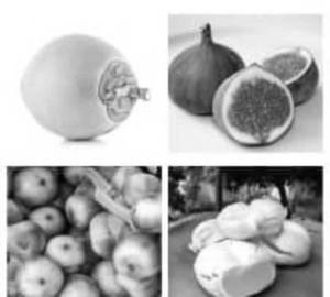 Tender Coconut Mosambi Juice  (750ml)