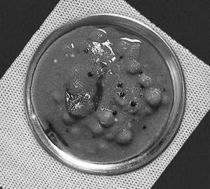 Green Peas Masala