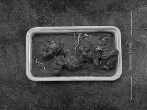 Mutton Curry Fry