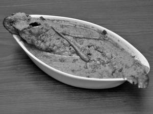 Pabda Jhaal (1 Pc)