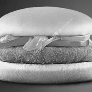 Veggie Cheese Burger