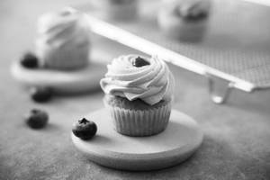 Blueberry Cupcake (big)