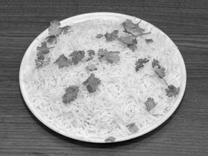 Plain Rice