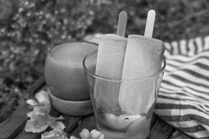 Chikoo Popsicle