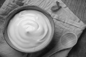 Plain Curd    