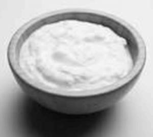 Plain Dahi
