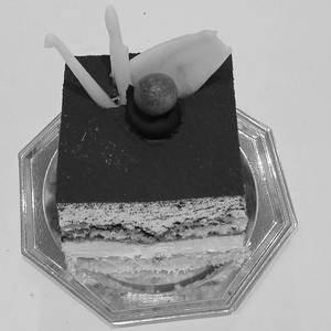 Tiramisu Pastry