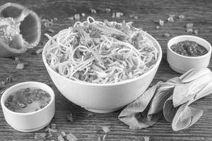 Hakka Noodles Non-Veg
