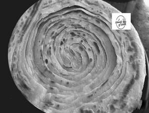 Tawa Lachha Paratha