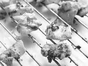 Chicken Garlic Tikka