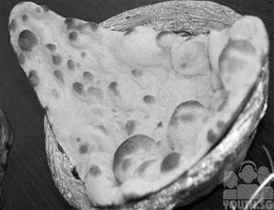 Plain Naan