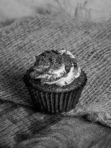 Chocolate Truffle Cupcake