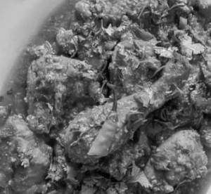 Mughlai Chicken