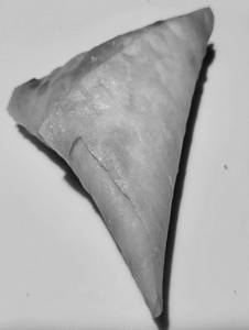 Chicken Samosa (2pcs)