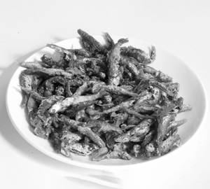 Small Fish Fry