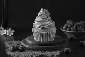 Blueberry Cupcake