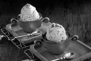 Premium Kulfi