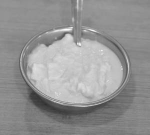 Plain Dahi