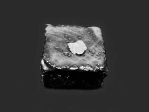 Caramel Brownie