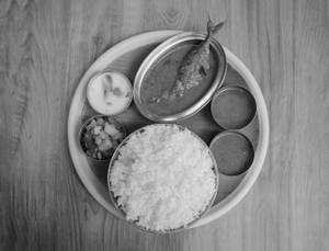 Fish Meals