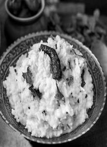 Curd Rice